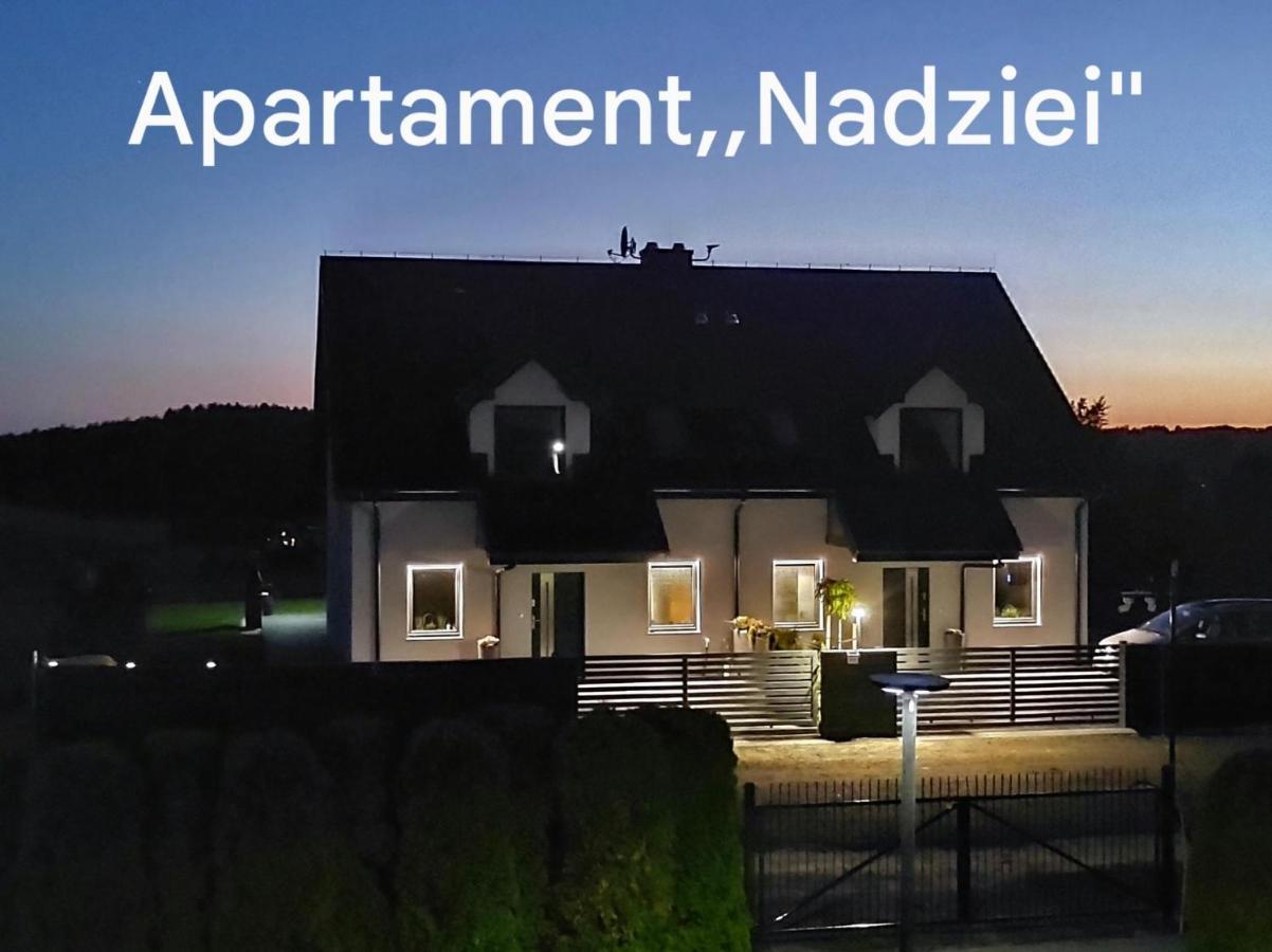 Apartament Nadziei Chmielno Εξωτερικό φωτογραφία